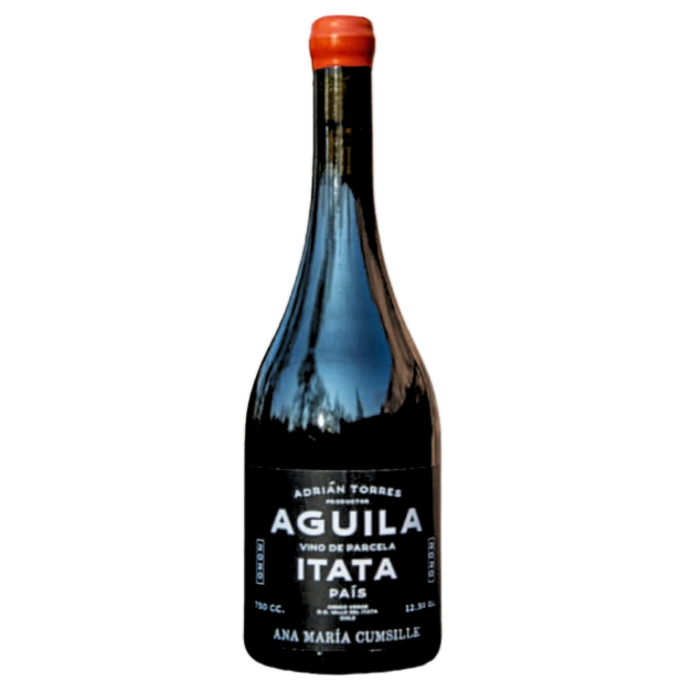 PA Aguila de Ana Maria Cumsille 2022