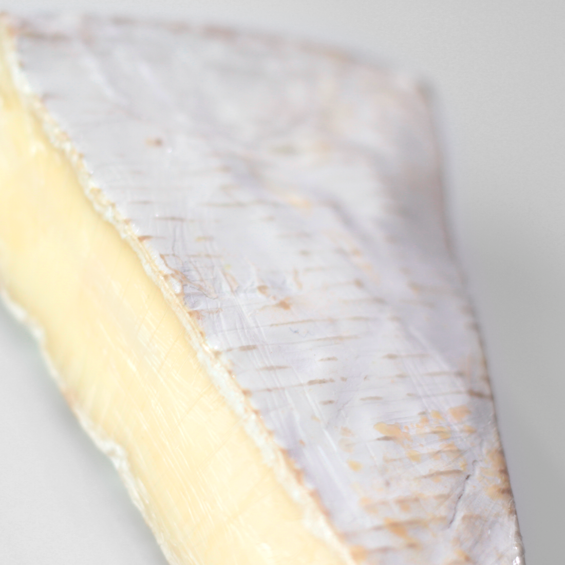 queso Brie en un fondo blanco